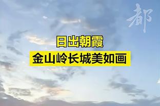 霍勒迪：我需要适应不同的情况 可能防大个也可能防小个